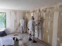 Best Attic Mold Removal in Farmersville, CA